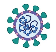 Coronavirus Coronavirus